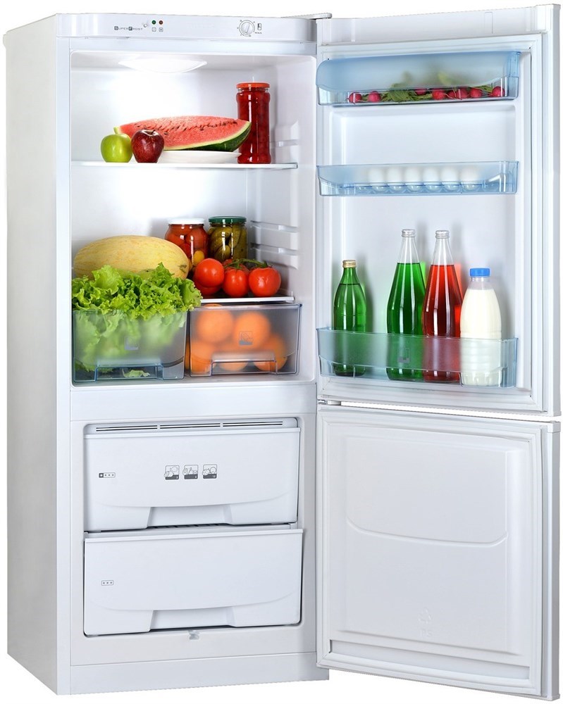 Холодильник  POZIS RK  101 А - фото 17291