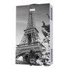 Газовая колонка Ларгаз декор Париж 10л. XD N УУУУ03225